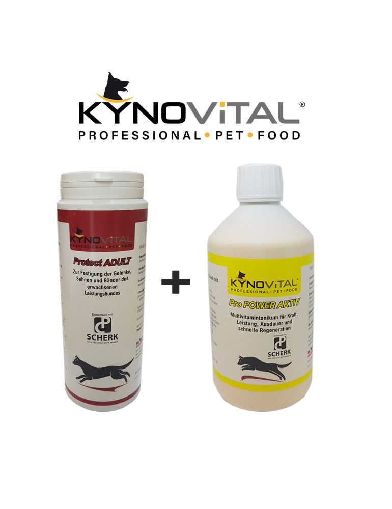 Kynovital Kombipaket Protect ADULT