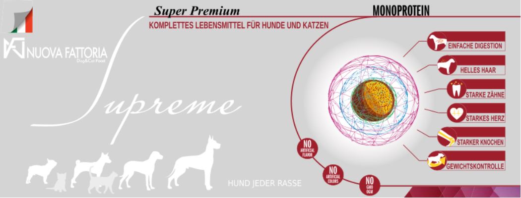 Supreme-Grafic-Hund-Katze